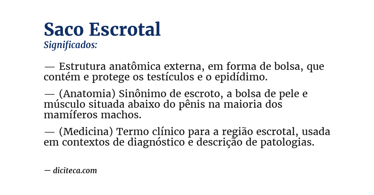 Significado de saco escrotal