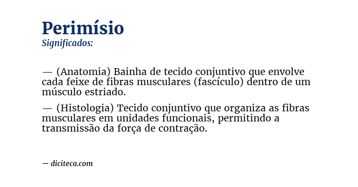 Significado de perimísio