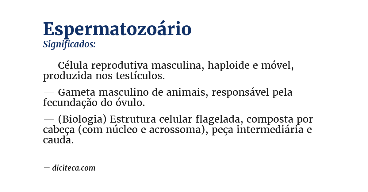 Significado de espermatozoário