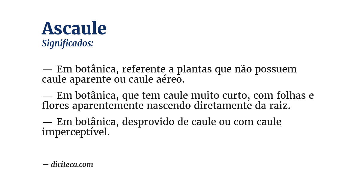 Significado de ascaule