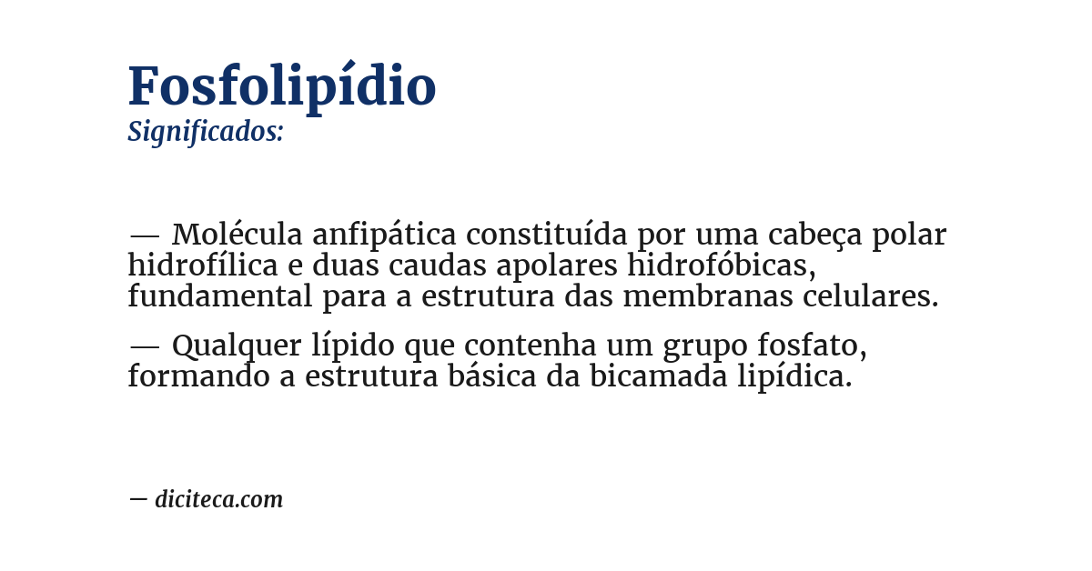 Significado de fosfolipídio