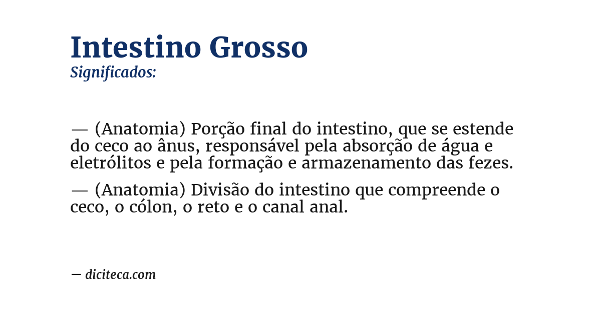 Significado de intestino grosso