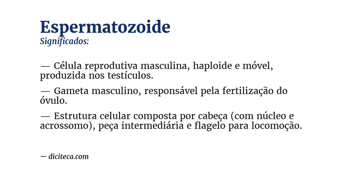 Significado de espermatozoide