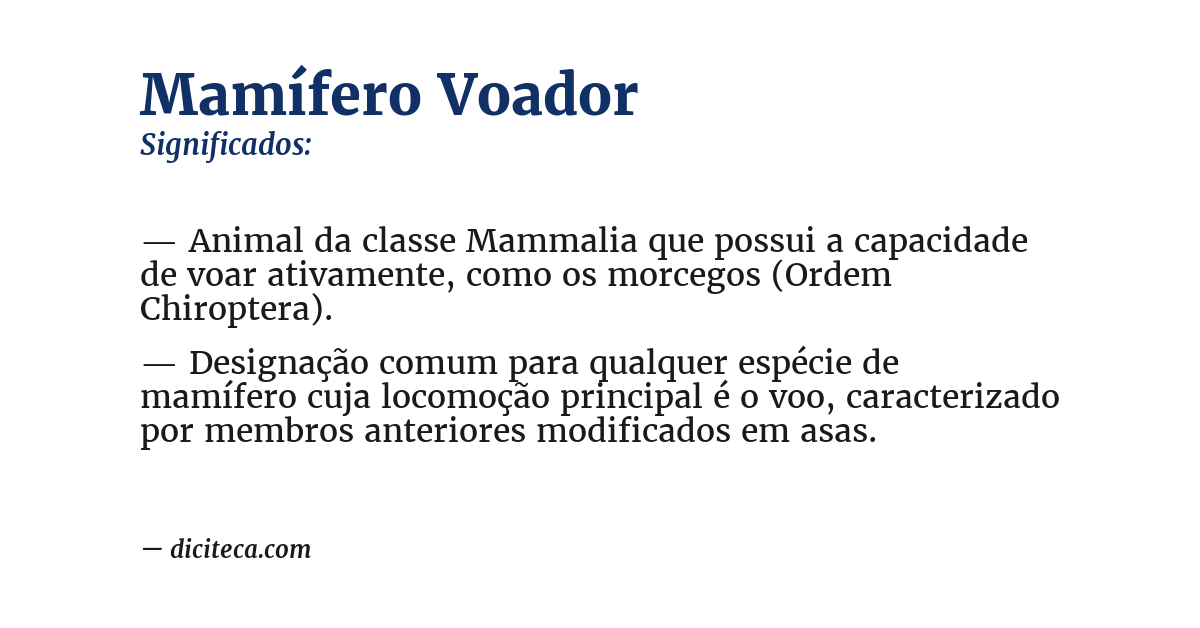 Significado de mamífero voador