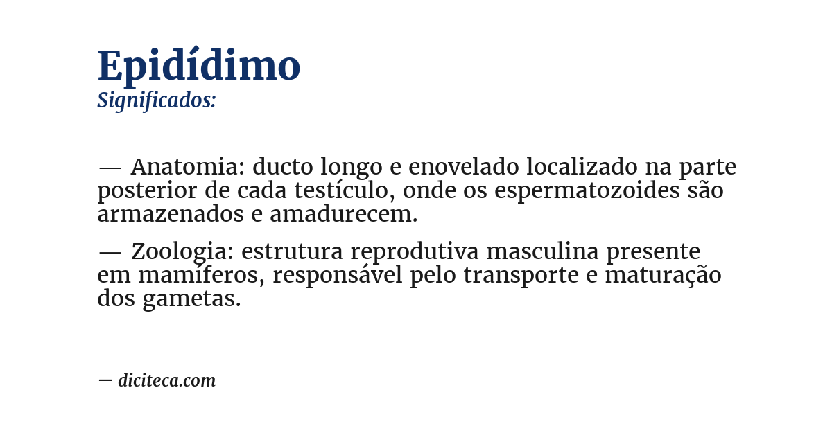 Significado de epidídimo