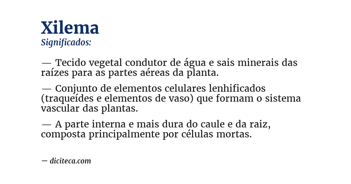 Significado de xilema