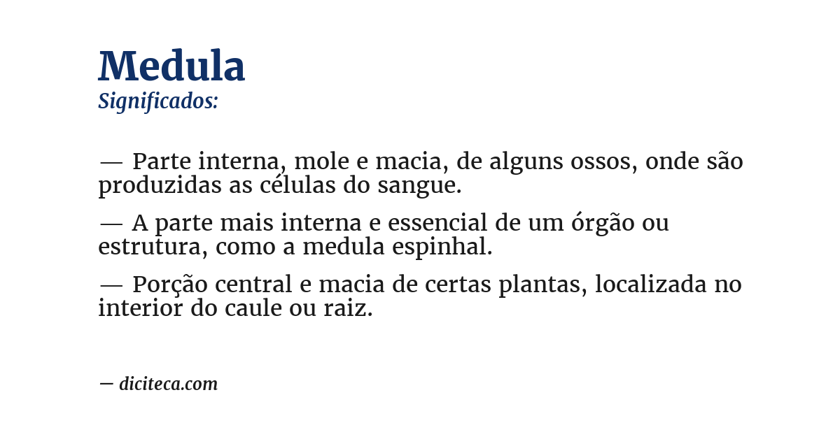 Significado de medula