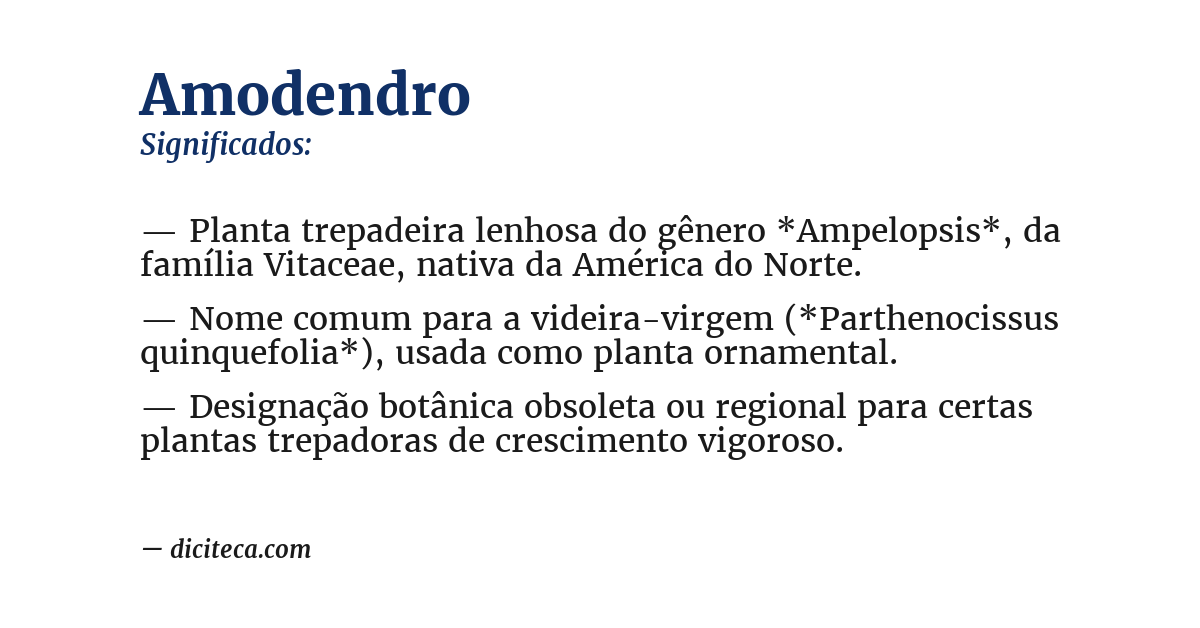 Significado de amodendro