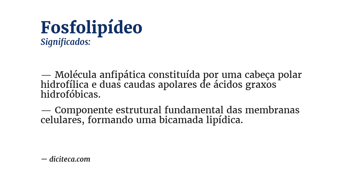 Significado de fosfolipídeo