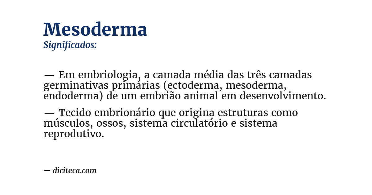 Significado de mesoderma