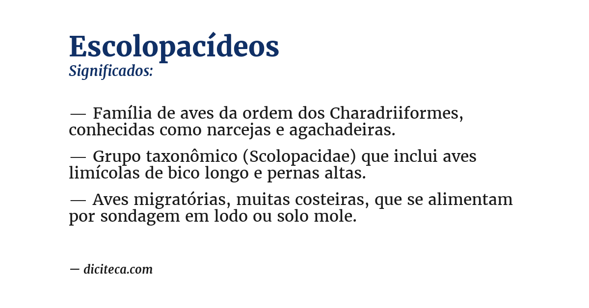 Significado de escolopacídeos