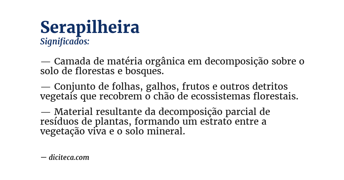 Significado de serapilheira
