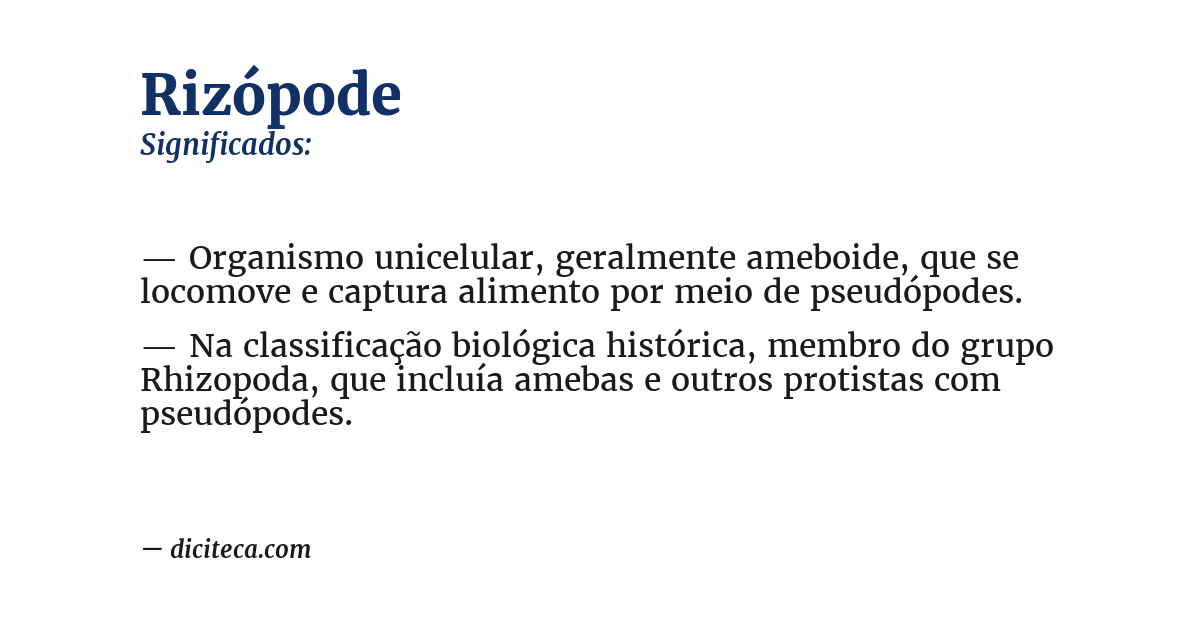 Significado de rizópode