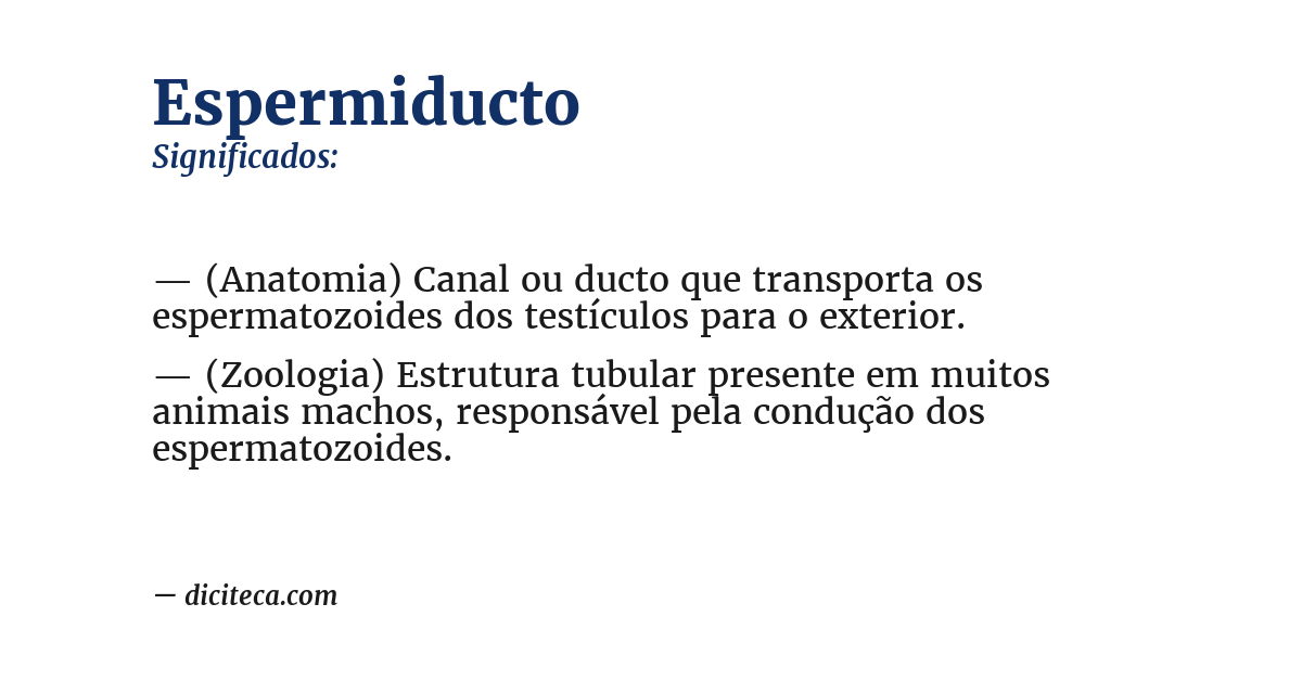 Significado de espermiducto