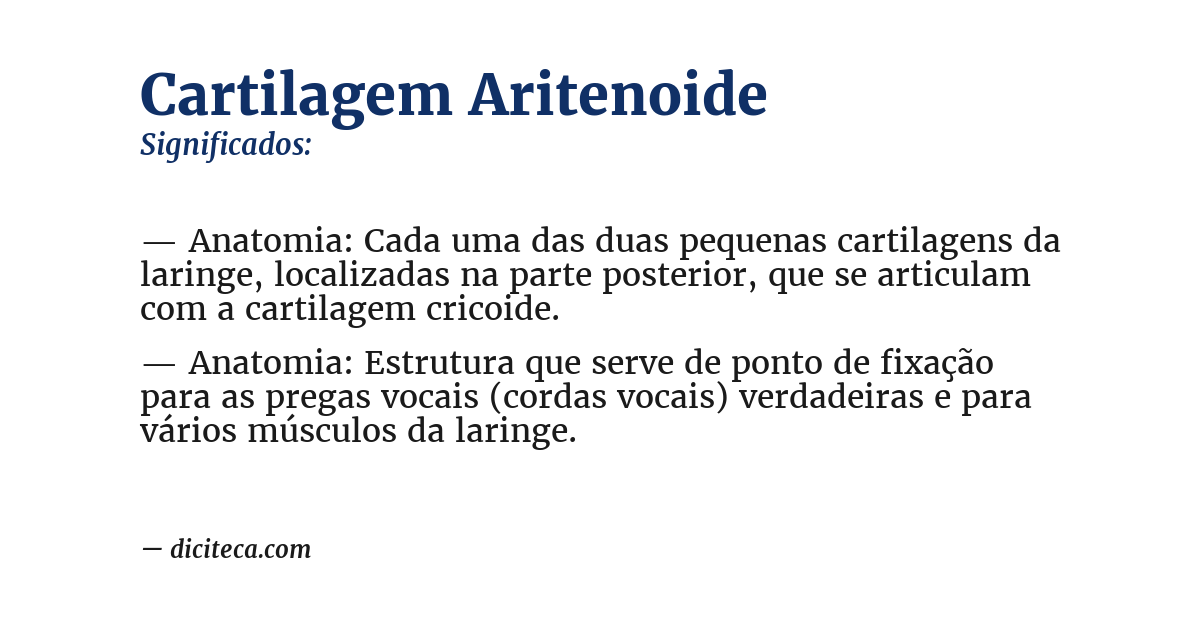 Significado de cartilagem aritenoide