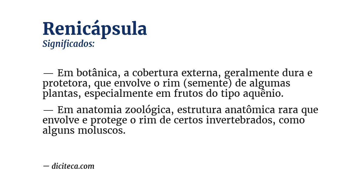 Significado de renicápsula