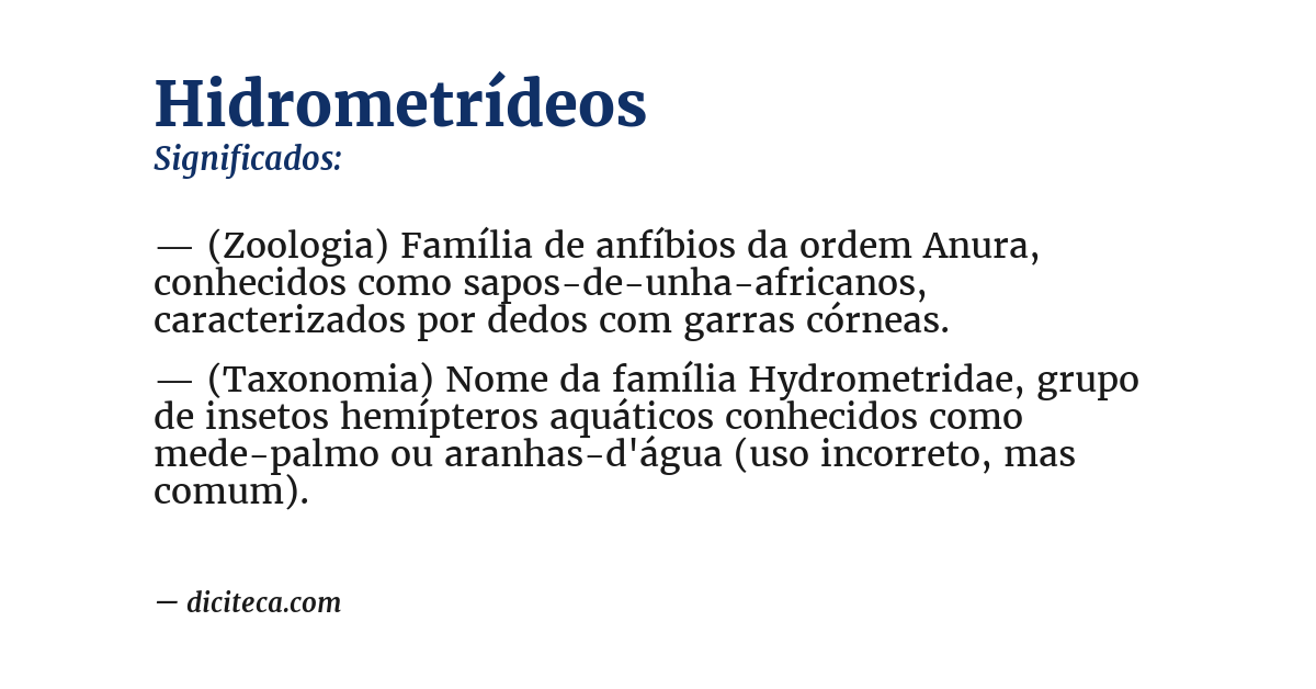 Significado de hidrometrídeos