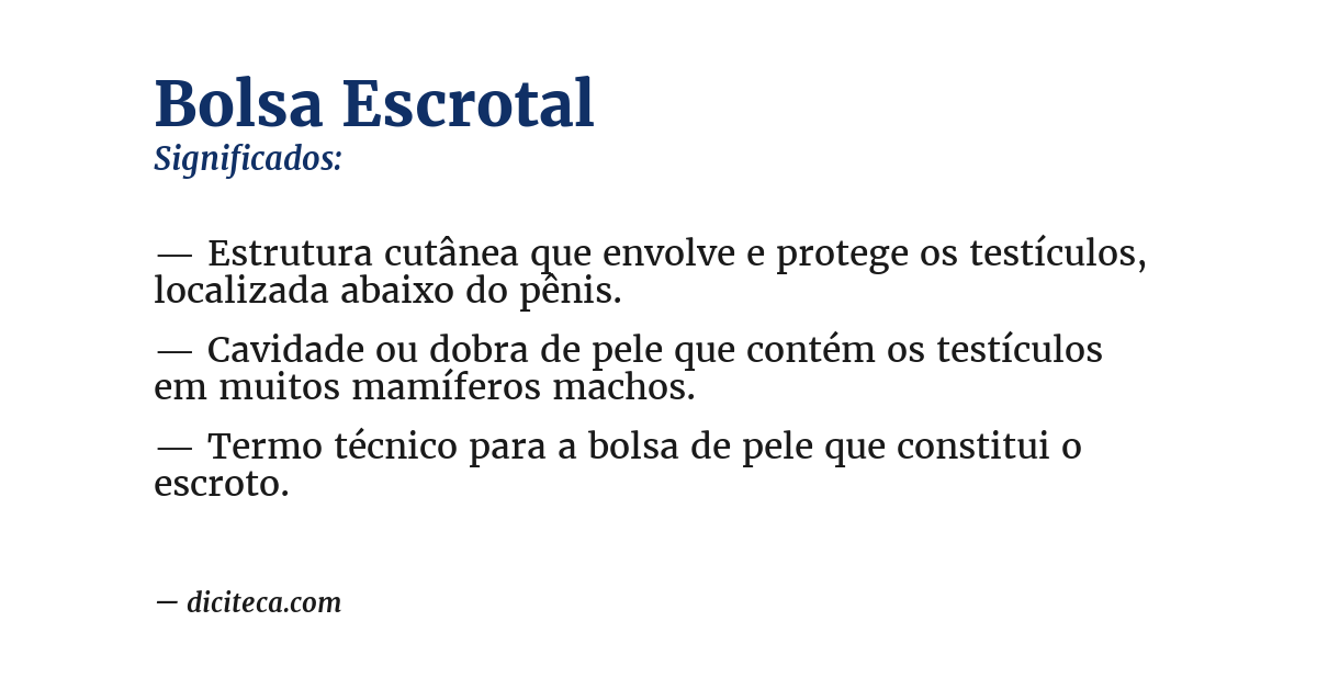 Significado de bolsa escrotal