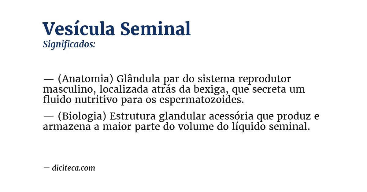 Significado de vesícula seminal
