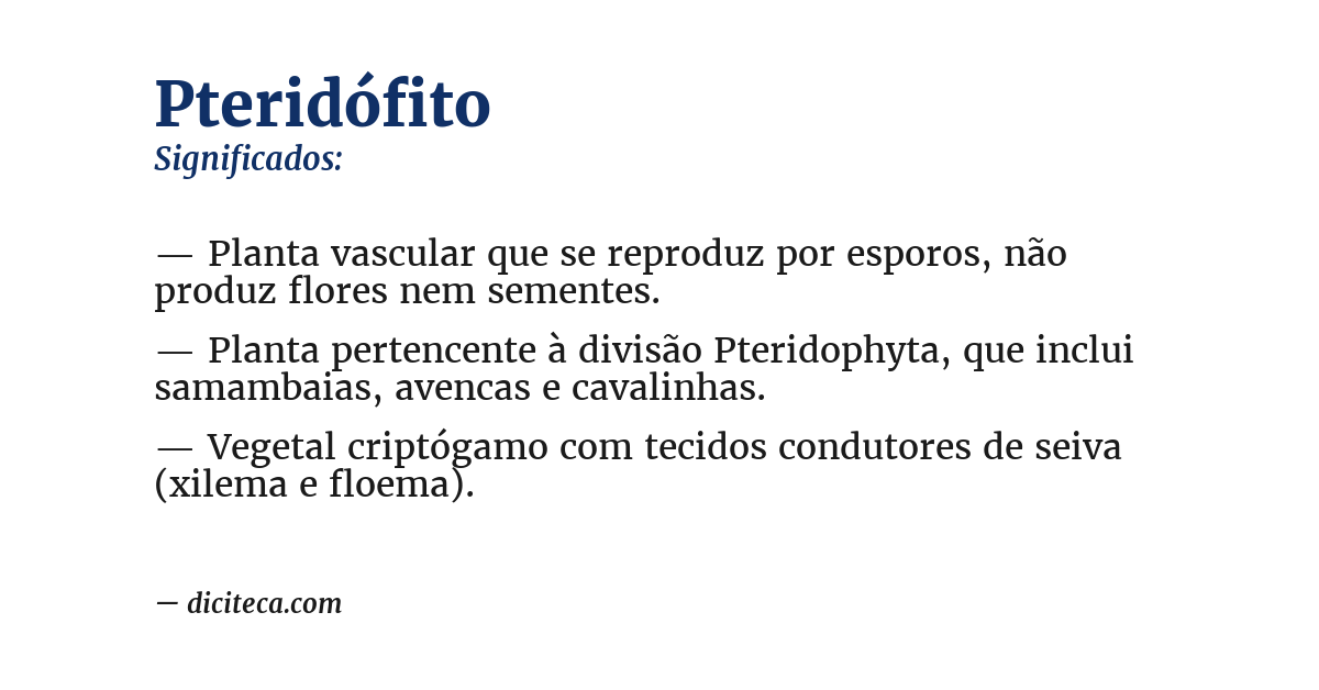 Significado de pteridófito