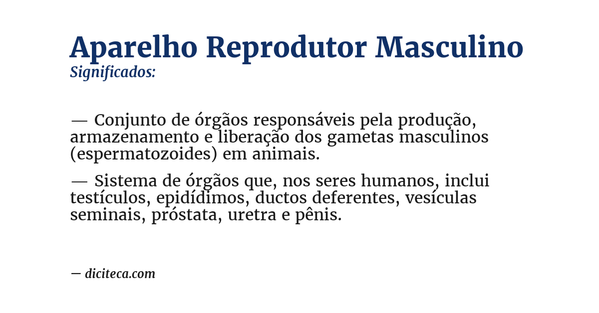 Significado de aparelho reprodutor masculino