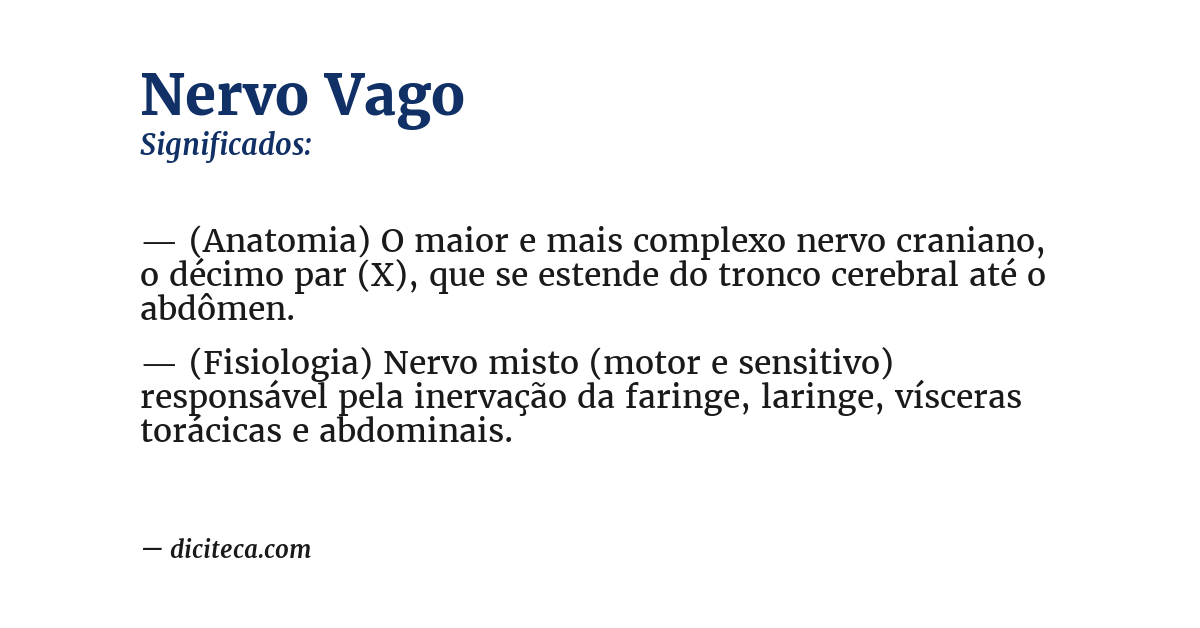 Significado de nervo vago