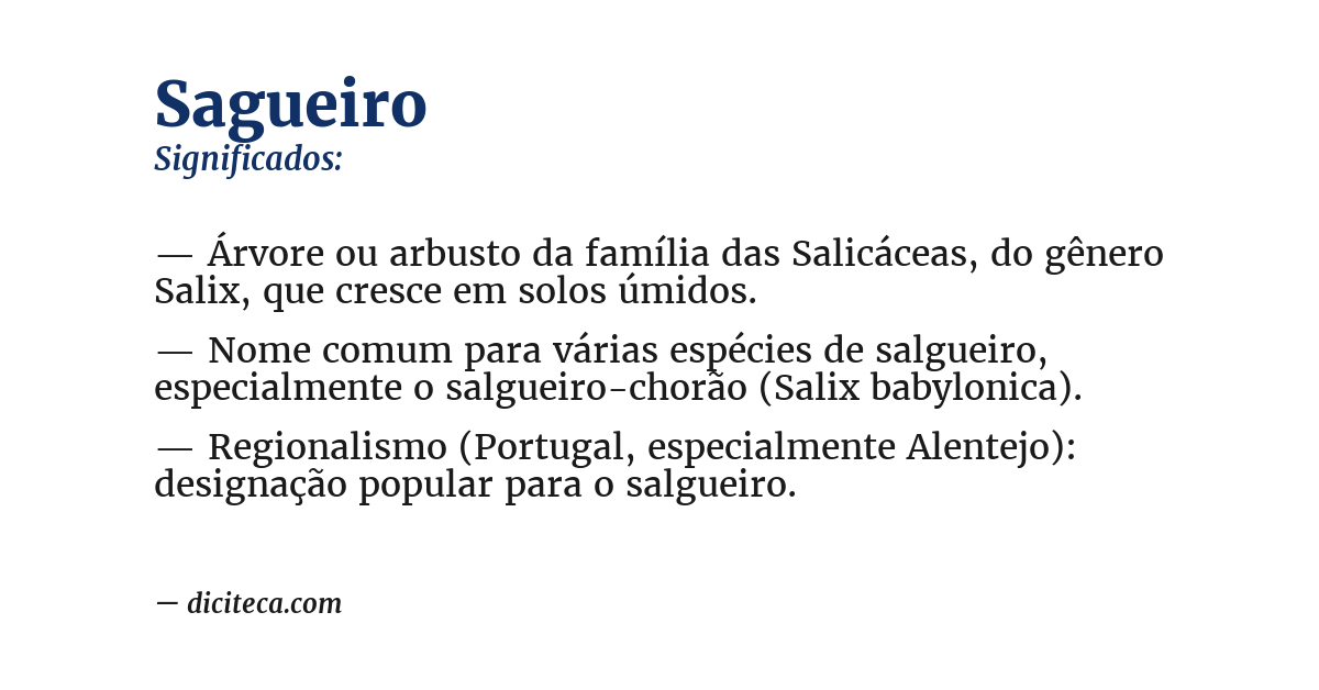 Significado de sagueiro