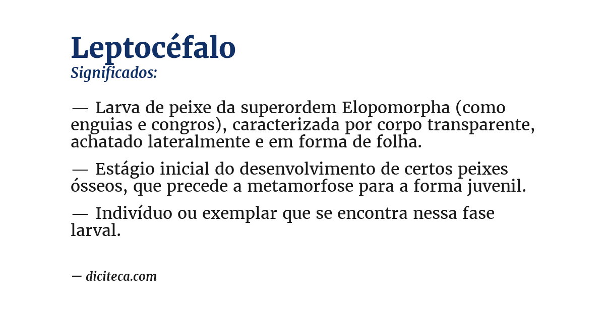 Significado de leptocéfalo