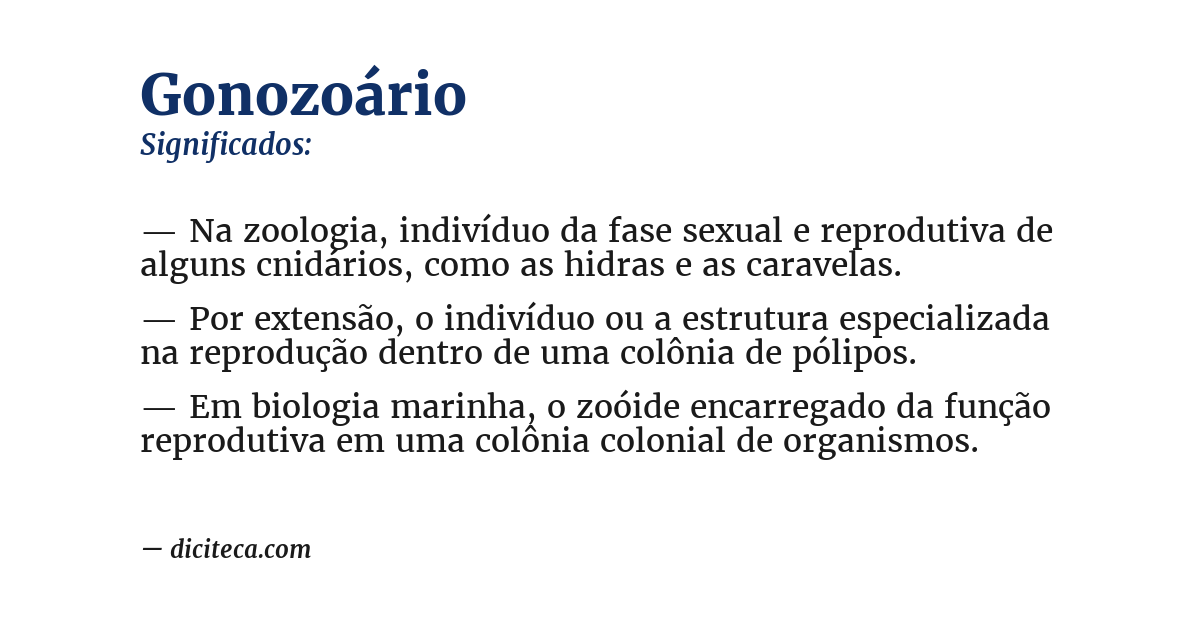 Significado de gonozoário