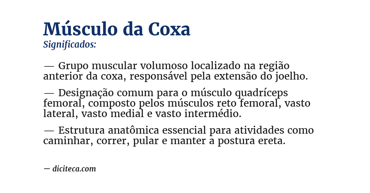 Significado de músculo da coxa