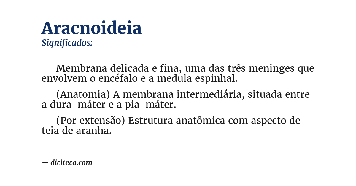 Significado de aracnoideia