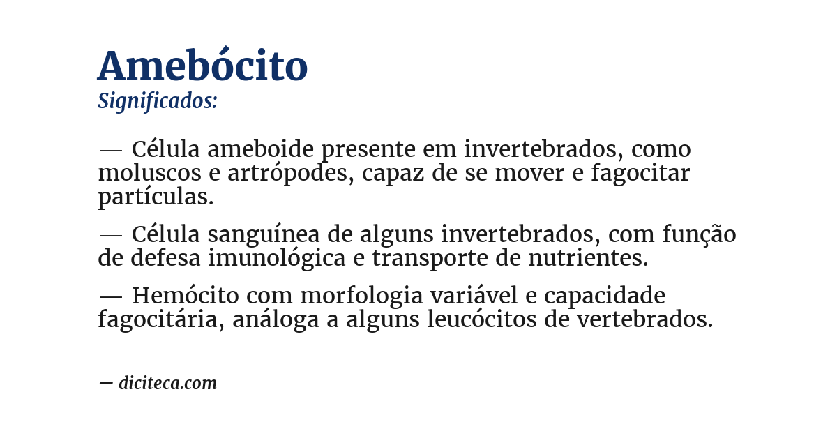 Significado de amebócito