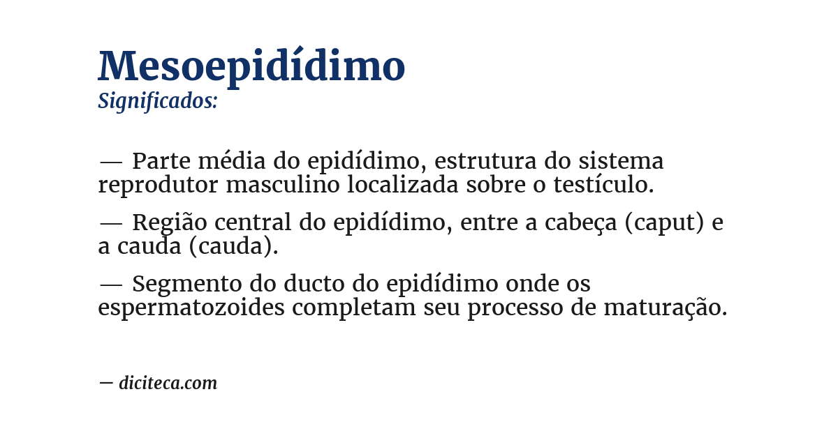 Significado de mesoepidídimo