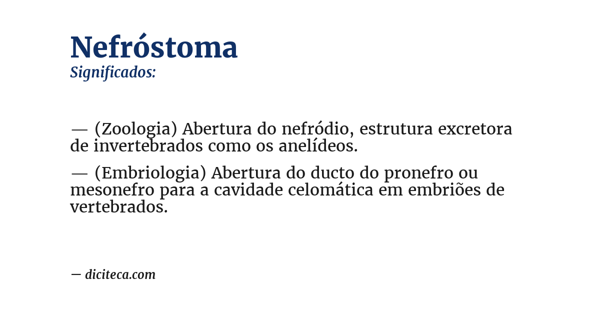 Significado de nefróstoma