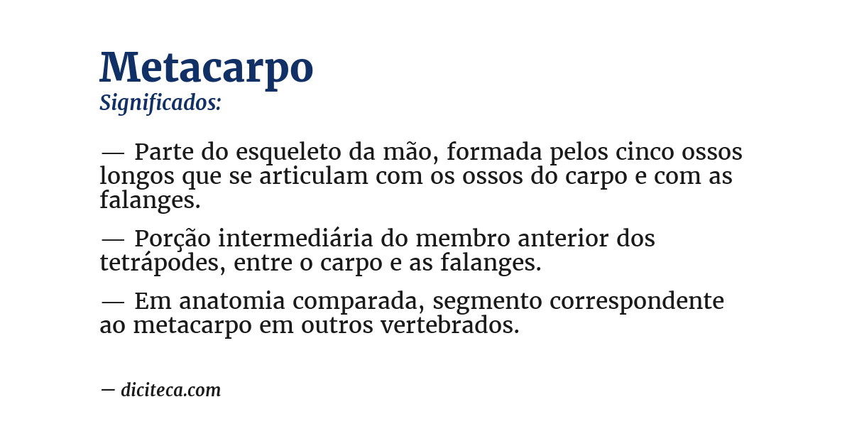 Significado de metacarpo