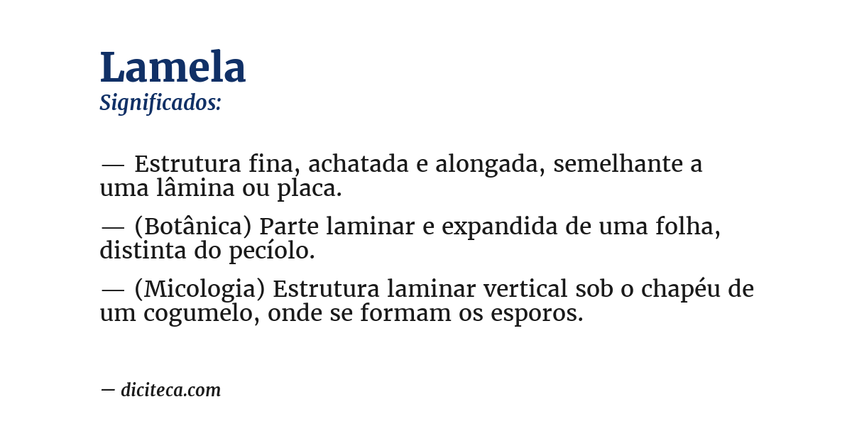 Significado de lamela