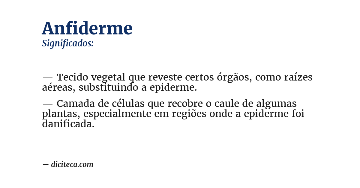 Significado de anfiderme