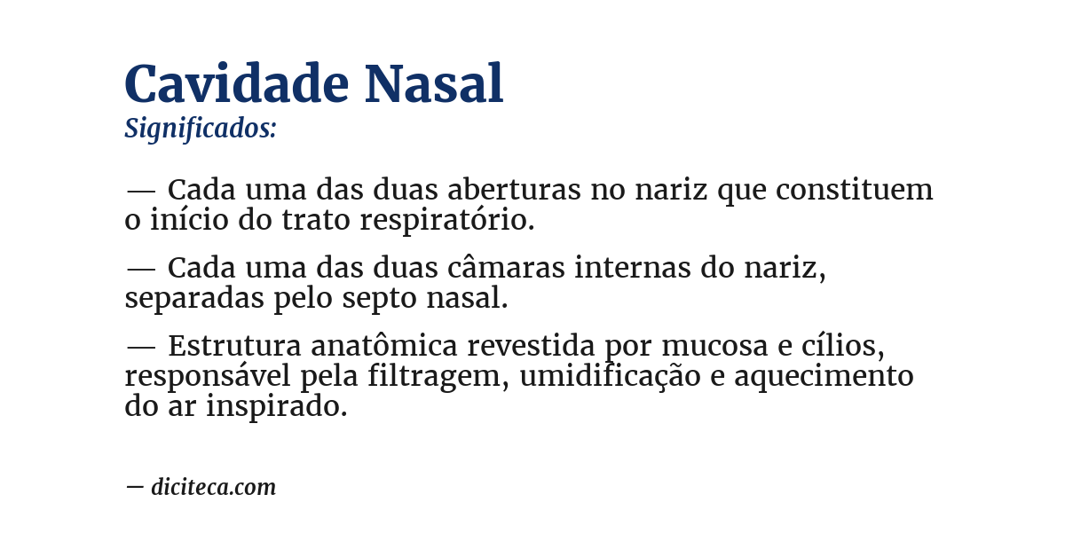 Significado de cavidade nasal