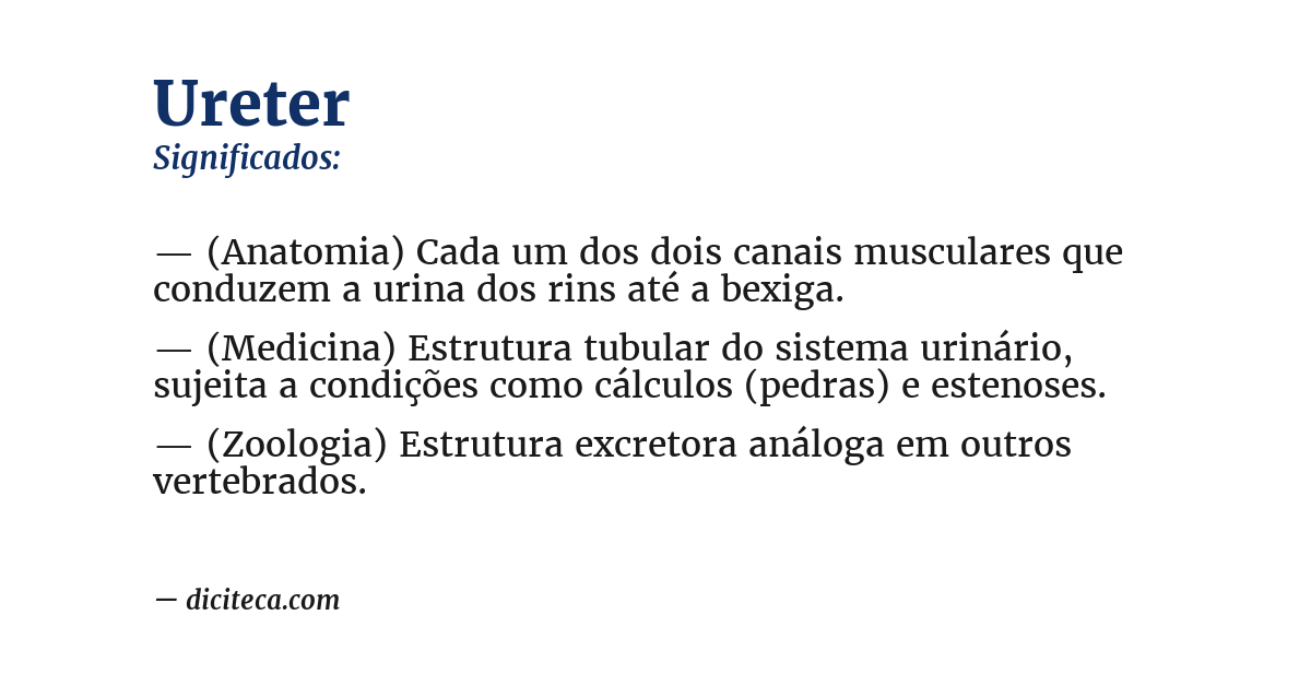 Significado de ureter