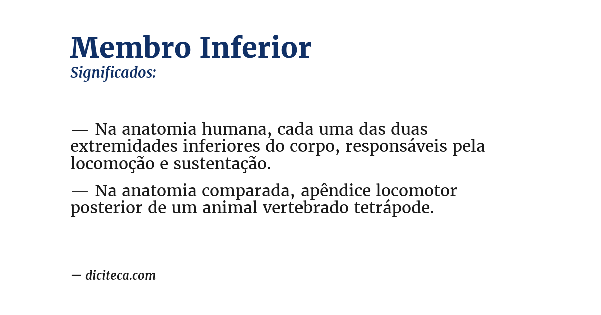 Significado de membro inferior