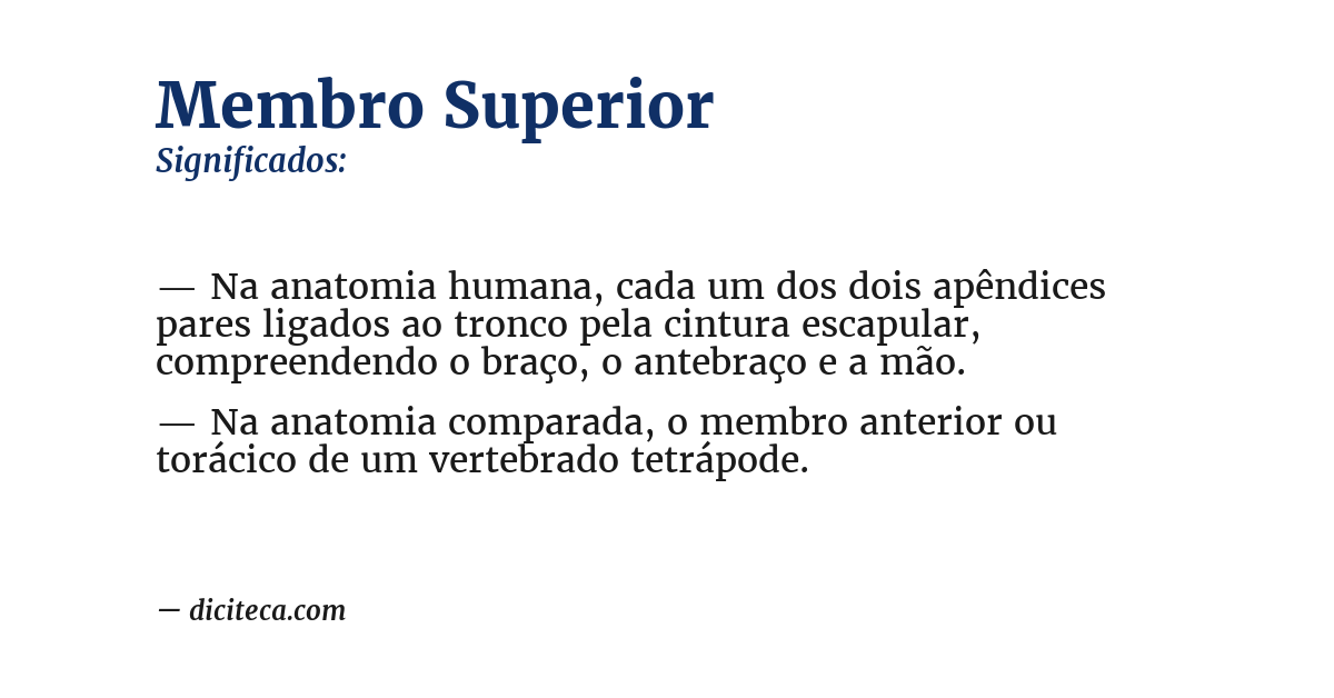 Significado de membro superior