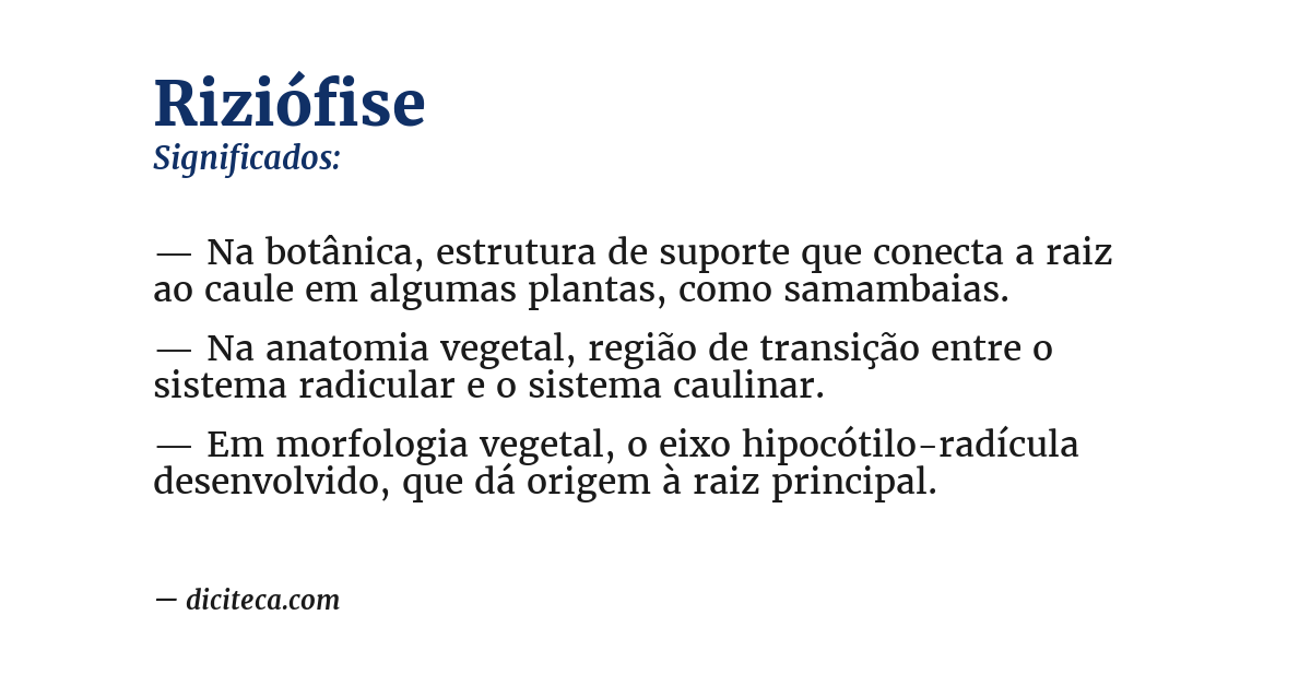 Significado de riziófise