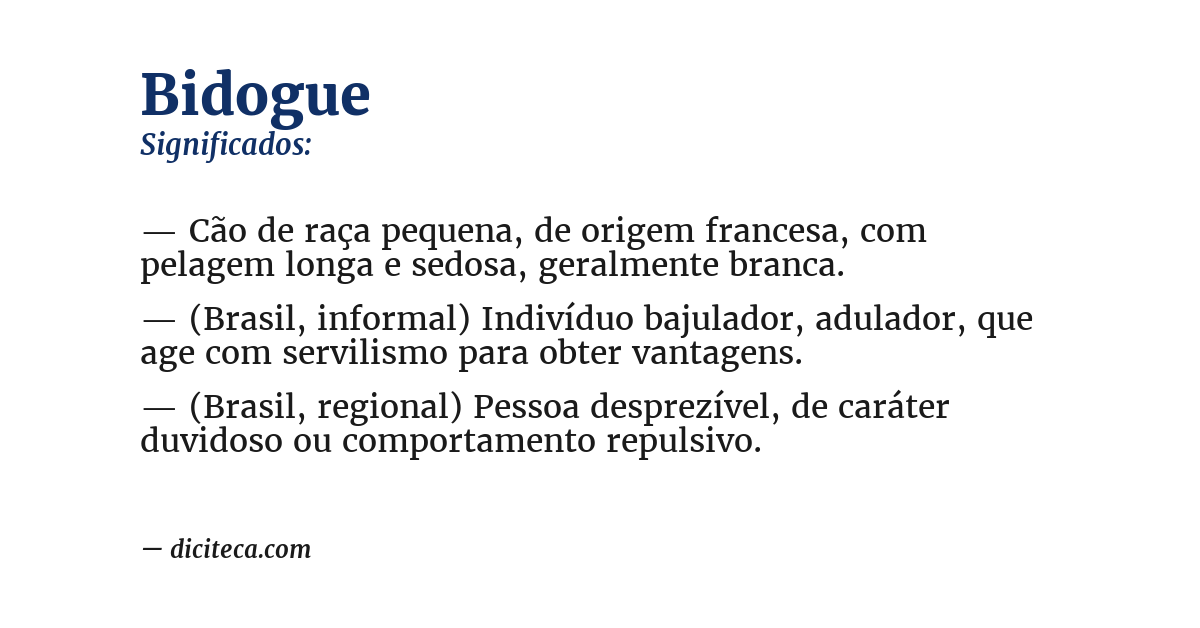 Significado de bidogue