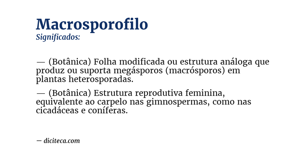 Significado de macrosporofilo