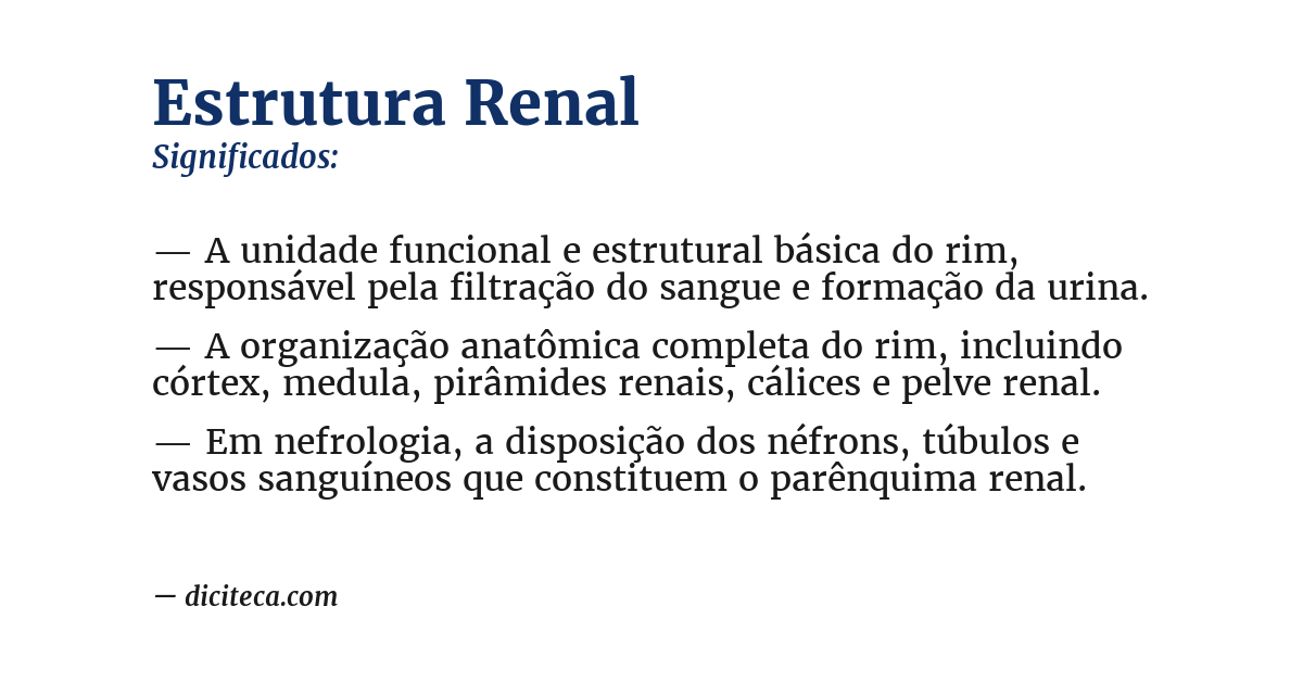 Significado de estrutura renal