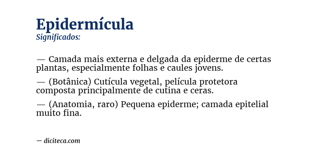 Significado de epidermícula