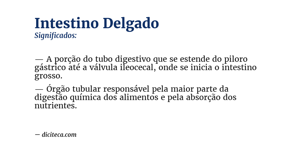 Significado de intestino delgado