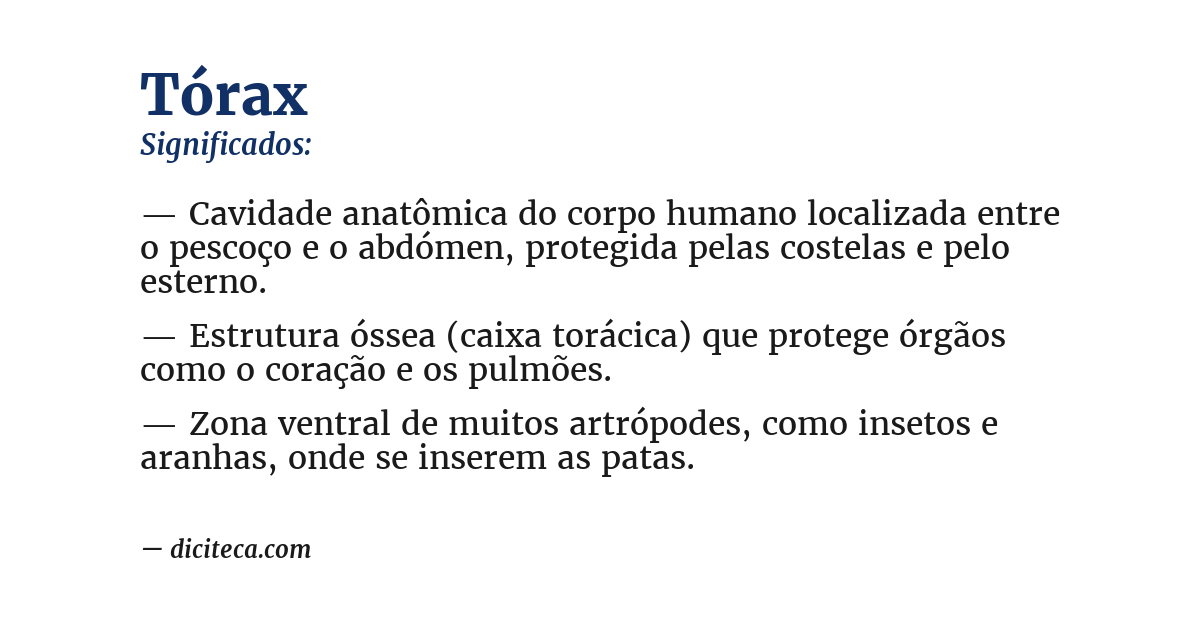Significado de tórax