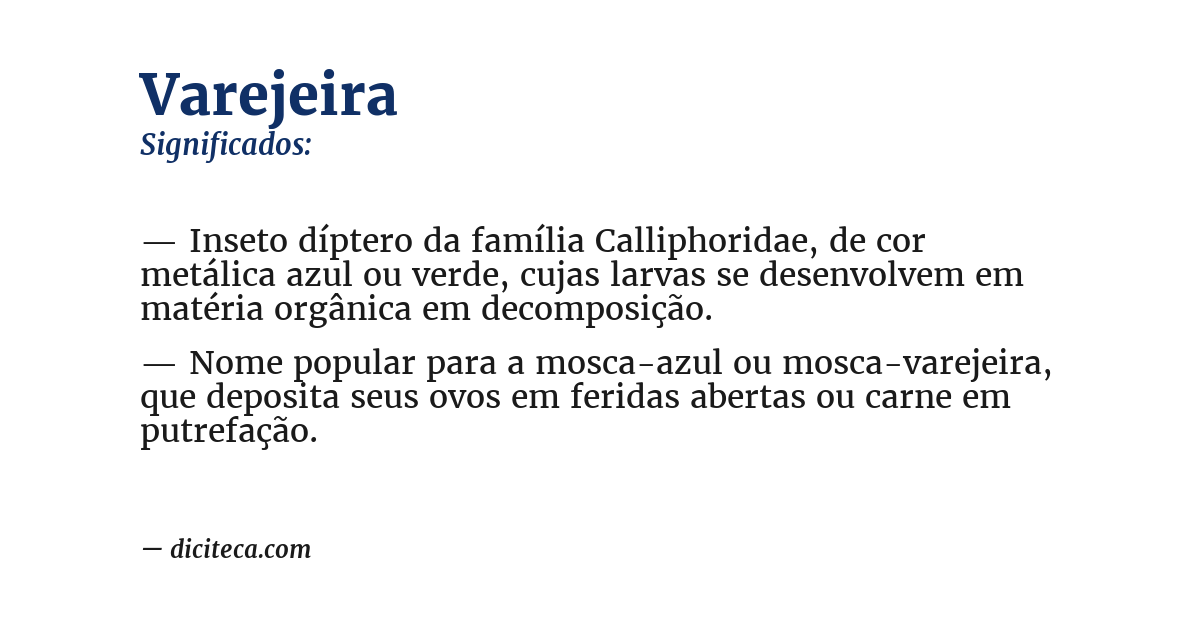 Significado de varejeira