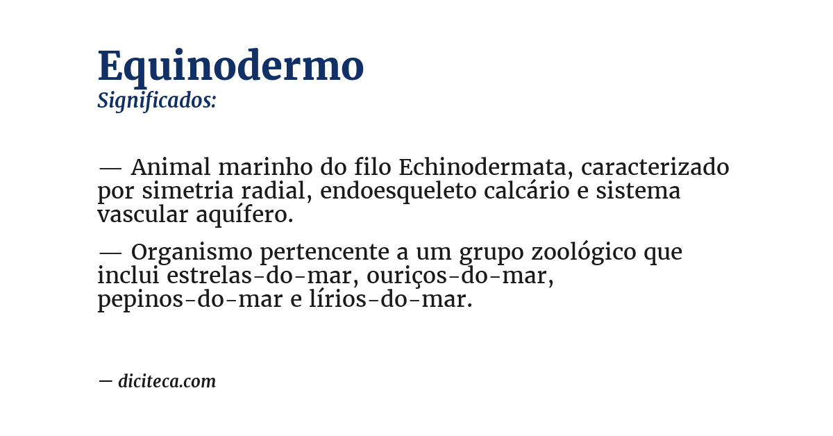 Significado de equinodermo